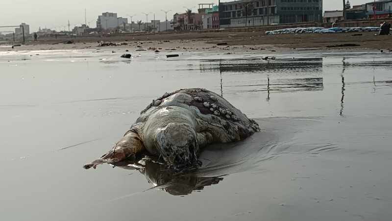 IMG-20230425-WA0032